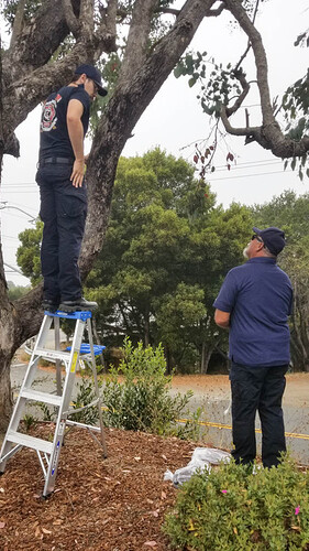 2023 08 24 Central Fire help with banner Tony Nick SD-801