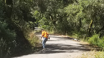 2024 06 30 NRG Firewise clean up day Locatellis on Chardonnay-831